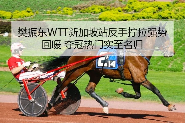樊振东WTT新加坡站反手拧拉强势回暖 夺冠热门实至名归